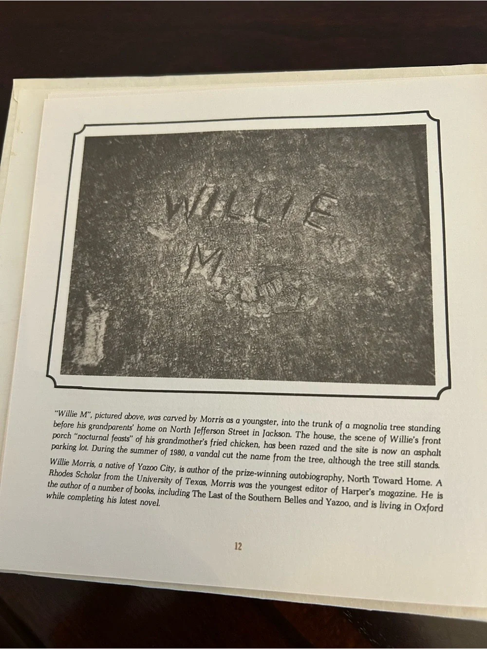 A Cook's Tour of Mississippi Cookbook - Vintage Cookbook